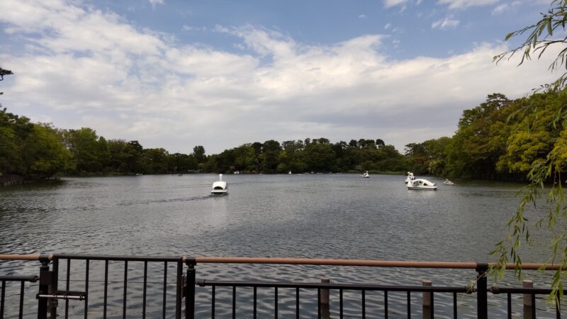 洗足池公園とボート