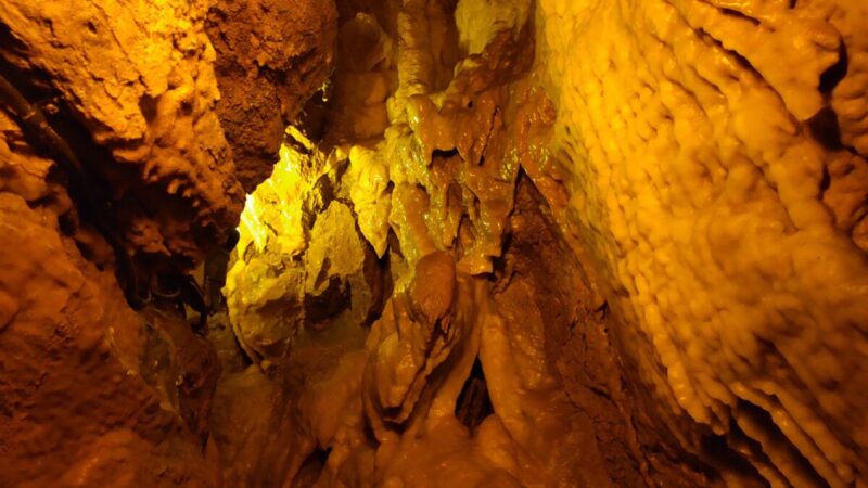 竜ヶ岩洞の鍾乳石