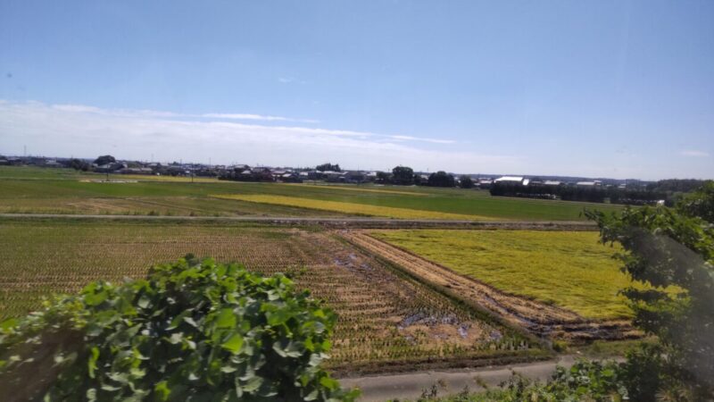 茨城の電車からの眺め