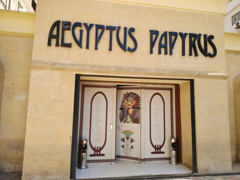 AEGYPTUS PAPYRUS
