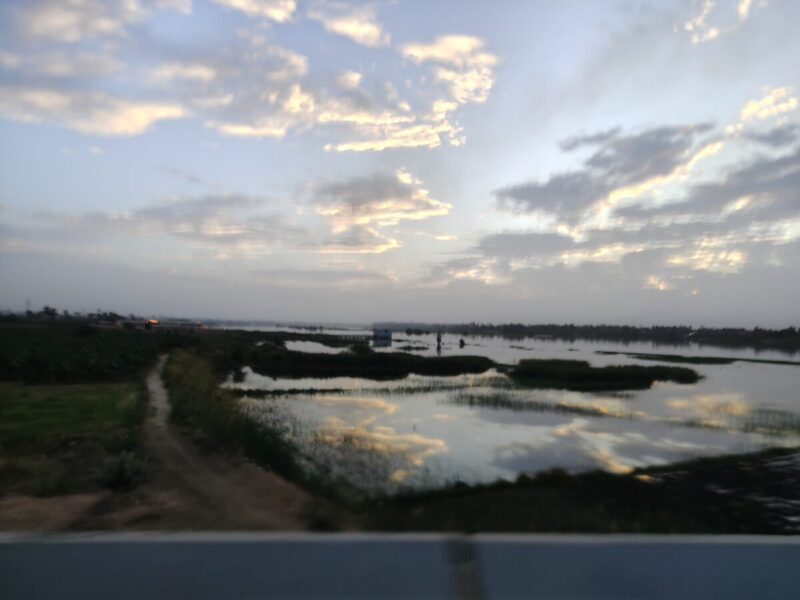 バスでナイル川を渡ります